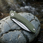 Cuckoo-GM
